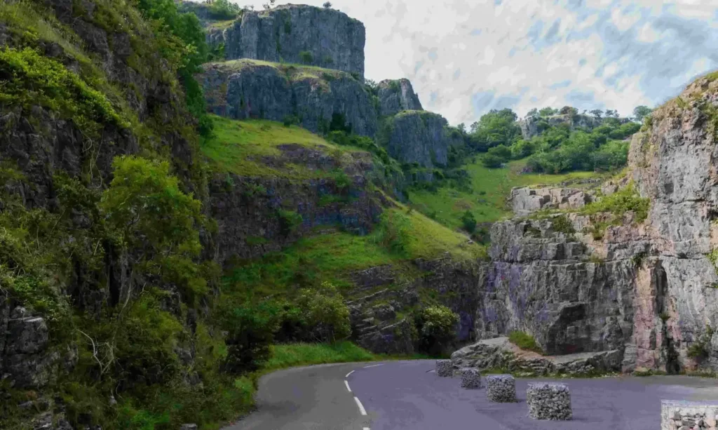 Road winding between green hills