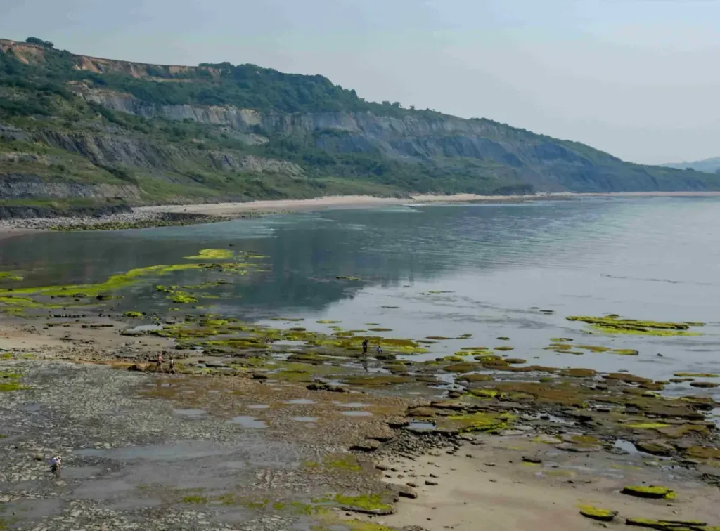 view of a coastline